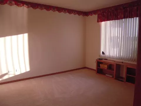 21517 W Juniper Ct, Plainfield, IL 60544 photo 9