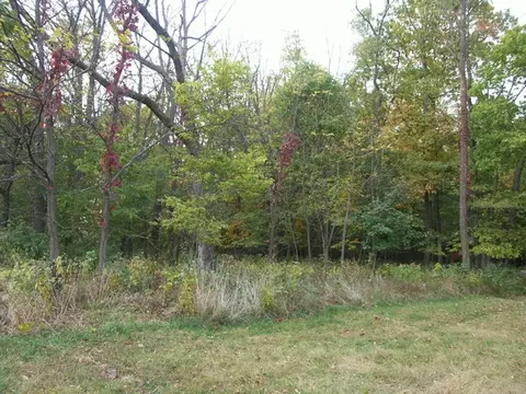 2491 E 1251st Rd, Ottawa, IL 61350 photo 22