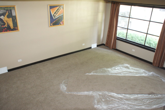 1424 N Lee Blvd, Berkeley, IL 60163 photo 9