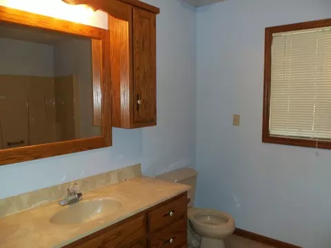 315 Twilight Dr, Morris, IL 60450 photo 13