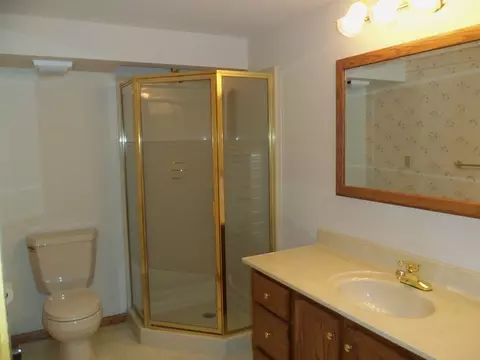 315 Twilight Dr, Morris, IL 60450 photo 20