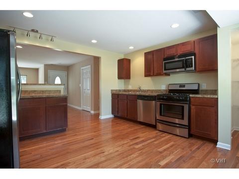 180 E 1st St, Braidwood, IL 60408 photo 4