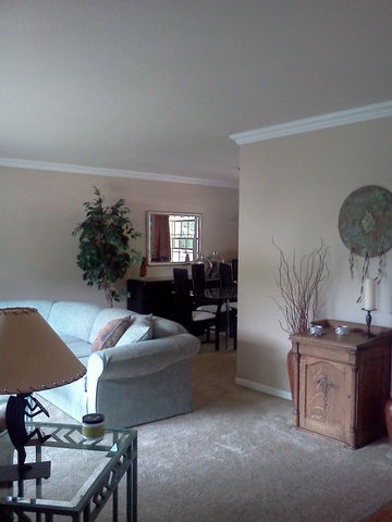 702 E Redwood Ln, Arlington Heights, IL 60004 photo 12