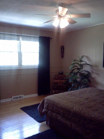 702 E Redwood Ln, Arlington Heights, IL 60004 photo 8