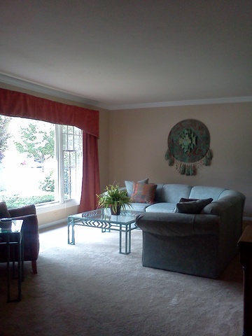 702 E Redwood Ln, Arlington Heights, IL 60004 photo 11