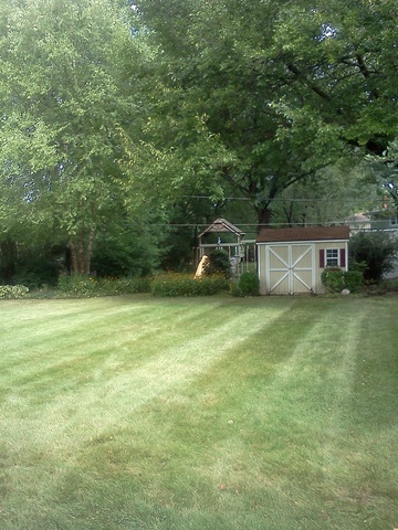 702 E Redwood Ln, Arlington Heights, IL 60004 photo 19