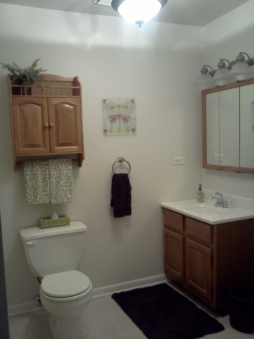 702 E Redwood Ln, Arlington Heights, IL 60004 photo 7