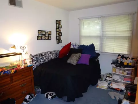 1116 Cassie Dr, Joliet, IL 60435 photo 13