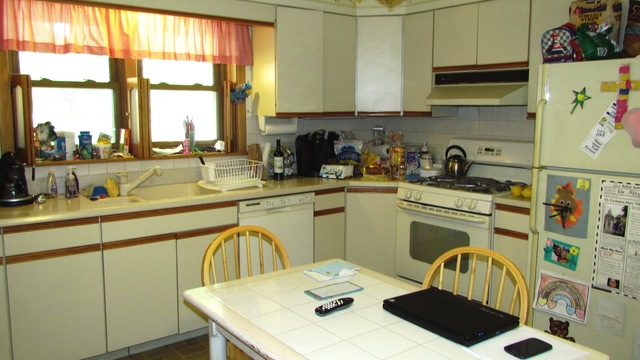 8114 W Memory Ln, Chicago, IL 60656 photo 8