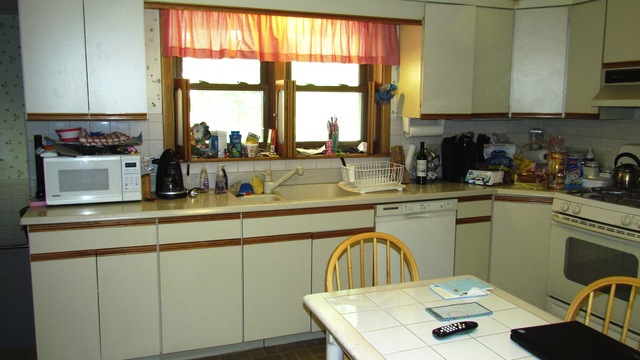 8114 W Memory Ln, Chicago, IL 60656 photo 7