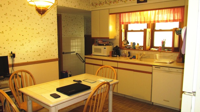 8114 W Memory Ln, Chicago, IL 60656 photo 9