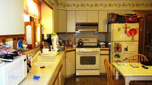8114 W Memory Ln, Chicago, IL 60656 photo 6