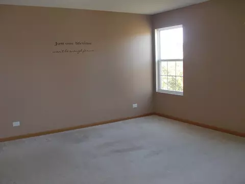 2634 Pondview Dr, Algonquin, IL 60102 photo 8