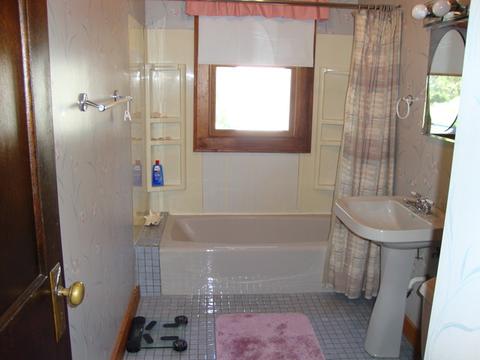 313 E Wilson St, Peotone, IL 60468 photo 18