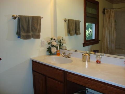 313 E Wilson St, Peotone, IL 60468 photo 12