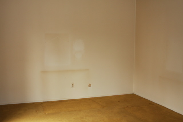 18 Cypress Square Pl, Elgin, IL 60123 photo 3