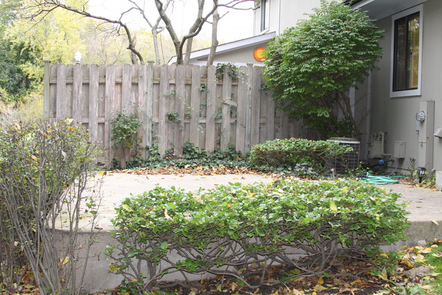 18 Cypress Square Pl, Elgin, IL 60123 photo 19