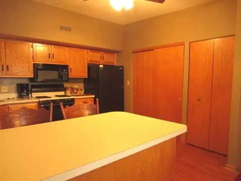 1117 E Division St #2D, Lockport, IL 60441 photo 6
