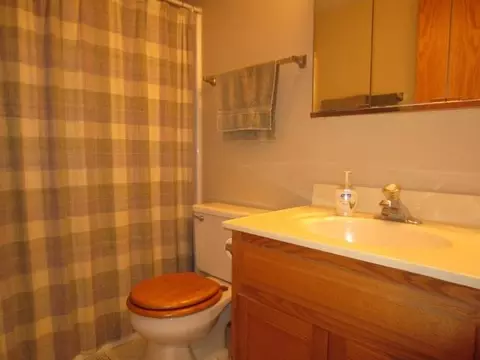 1117 E Division St #2D, Lockport, IL 60441 photo 10