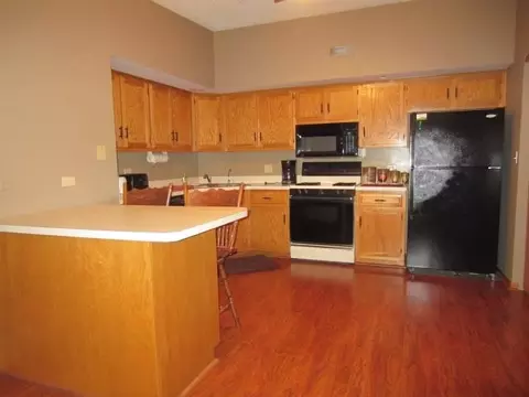 1117 E Division St #2D, Lockport, IL 60441 photo 4