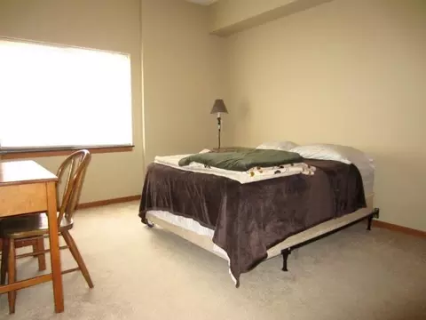 1117 E Division St #2D, Lockport, IL 60441 photo 9