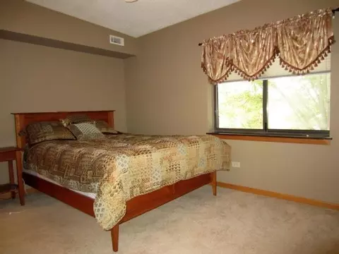 1117 E Division St #2D, Lockport, IL 60441 photo 8