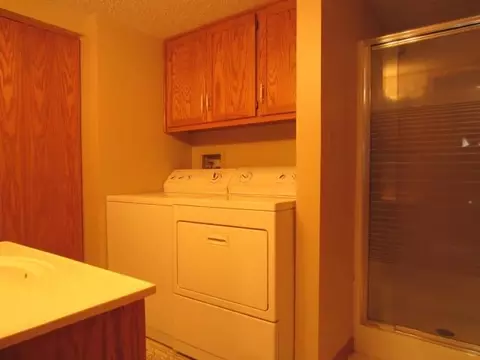 1117 E Division St #2D, Lockport, IL 60441 photo 11