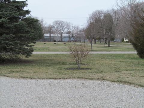 603 E 4th St, Long Point, IL 61333 photo 22