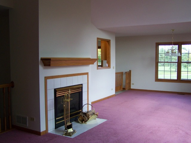 11208 Algonquin St, Huntley, IL 60142 photo 10
