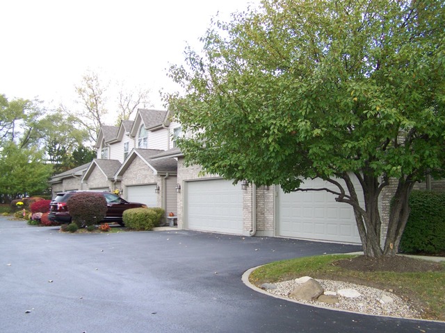 11208 Algonquin St, Huntley, IL 60142 photo 17