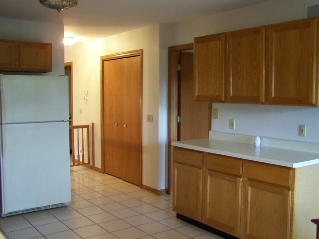 11208 Algonquin St, Huntley, IL 60142 photo 14