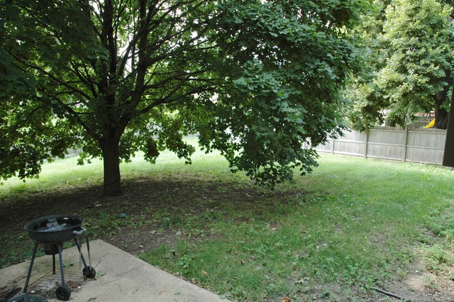 1217 Devonshire Dr, Joliet, IL 60435 photo 11