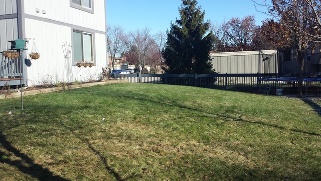 553 Sequoia Trl, Roselle, IL 60172 photo 3