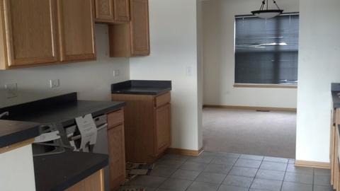 4659 W Iris Ln, Monee, IL 60449 photo 6