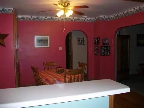 510 W Devlin St, Spring Valley, IL 61362 photo 3