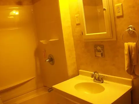 510 W Devlin St, Spring Valley, IL 61362 photo 9