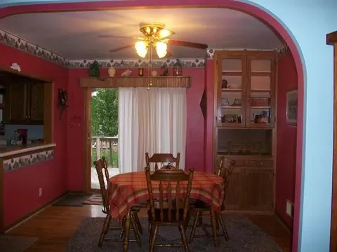 510 W Devlin St, Spring Valley, IL 61362 photo 4