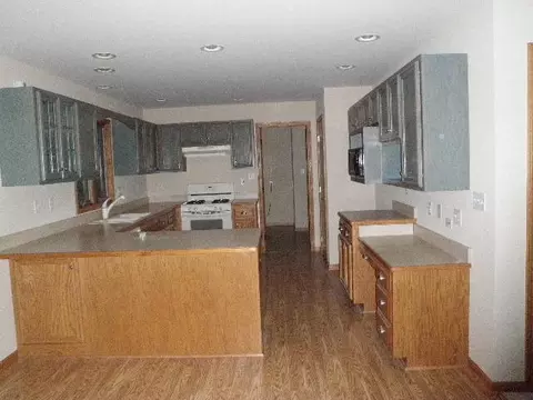 4780 E Grinter Rd, Gardner, IL 60424 photo 2
