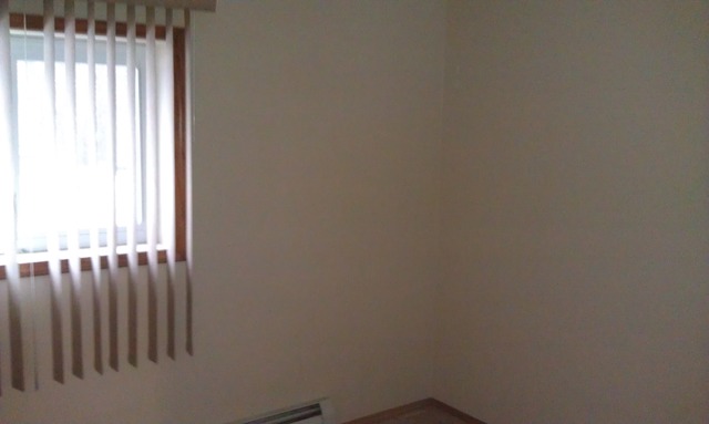 124 E Bailey Rd #a, Naperville, IL 60565 photo 6