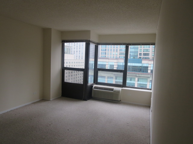 30 E Huron St #2001, Chicago, IL 60611 photo 8