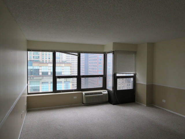 30 E Huron St #2001, Chicago, IL 60611 photo 4