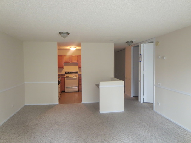 30 E Huron St #2001, Chicago, IL 60611 photo 12