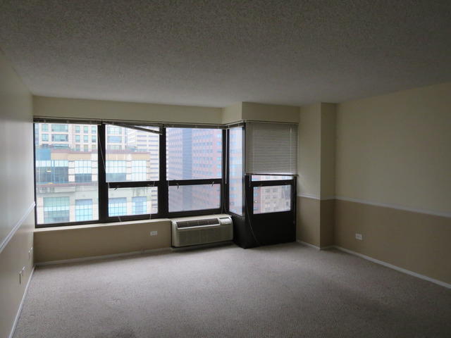 30 E Huron St #2001, Chicago, IL 60611 photo 6