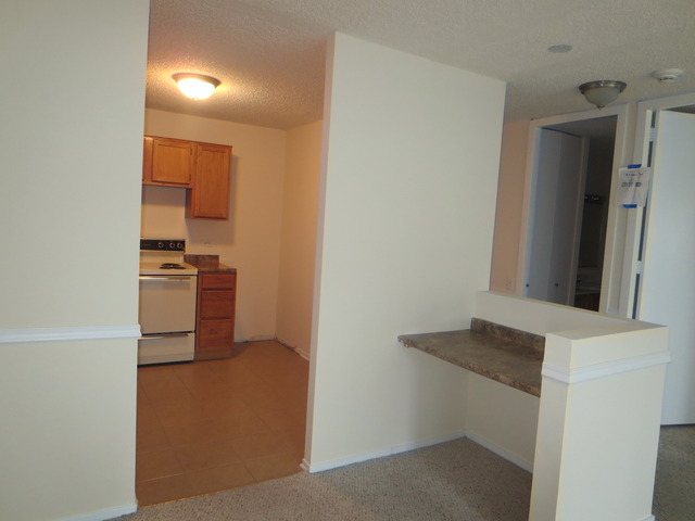 30 E Huron St #2001, Chicago, IL 60611 photo 13