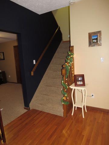 300 W Chippewa St, Dwight, IL 60420 photo 9