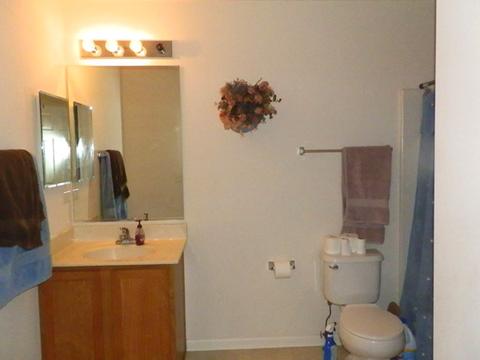 24113 Fox Creek Ct, Plainfield, IL 60586 photo 19