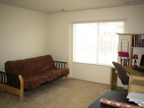 3358 Cameron Dr, Elgin, IL 60124 photo 10