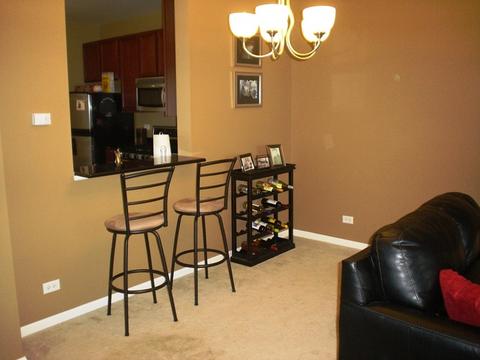 3358 Cameron Dr, Elgin, IL 60124 photo 4