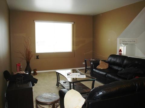 3358 Cameron Dr, Elgin, IL 60124 photo 5