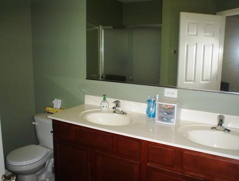 3358 Cameron Dr, Elgin, IL 60124 photo 9